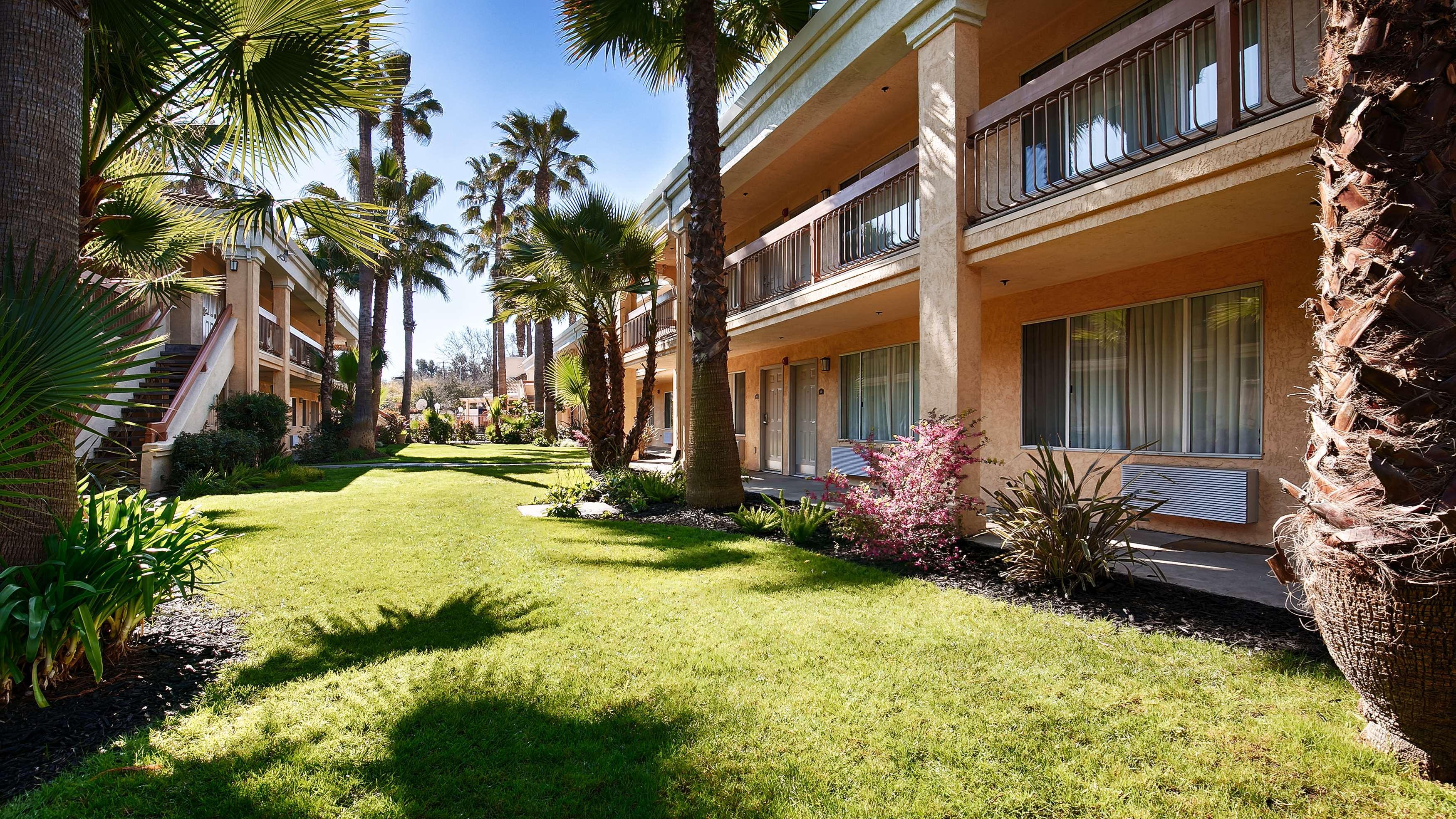 Best Western Palm Court Inn Modesto Exterior photo